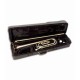 Photo of the John Packer Tenor Trombone JP133MLR inside the case