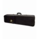 Photo of the John Packer Tenor Trombone JP133MLR case