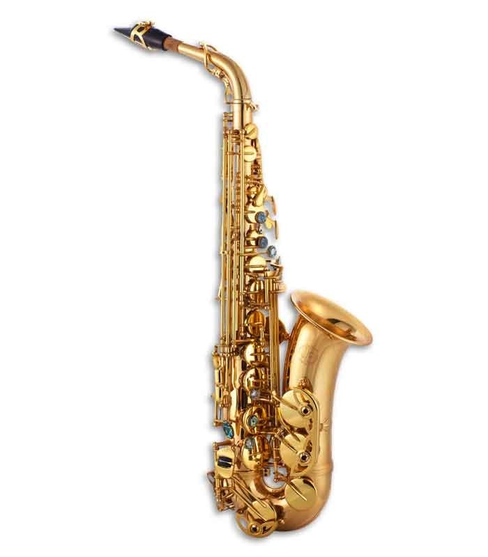 Photo of the John Packer Alto Saxophone JP045G