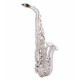 Photo of the John Packer Alto Saxophone JP045S