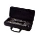 Photo of the John Packer Cor Anglais JP282C inside the case