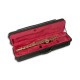 Photo of the John Packer Soprano Saxophone JP243G inside the case