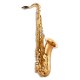 Photo of the John Packer Tenor Saxophone JP042G