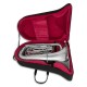 Photo of the John Packer Tuba JP278S inside the case
