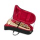 Photo of the John Packer Tuba JP379CC Sterling inside the case