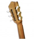 Artimúsica Viola Fado Half Deluxe Flandres Walnut Top 30351