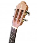 Head of cavaquinho de Cabo Verde APC CV110