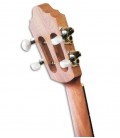 Tuning machines of Cape Verde cavaquinho APC CV110