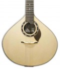 Body of portuguese guitar APC 310LS 