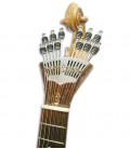 Photo of portuguese guitar APC 310LS 