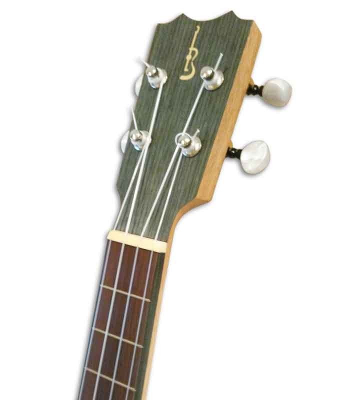 APC TS Ukulele head