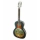 Photo of resonator Gretsch G9240
