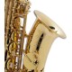Saxofone Alto Selmer Axos Seles Mi Bemol C Fá sustenido Agudo com Estojo