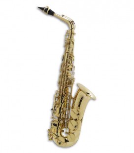 Saxofone Alto Selmer Axos Seles Mi Bemol C Fá sustenido Agudo com Estojo