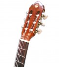 Head of guitar VGS Student Natural