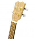 Head of ukulele soprano APC UKSL