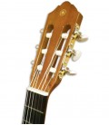 Head of guitar Yamaha CGS103A 3/4