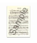 Beethoven Spring Sonata Opus 24 Peters