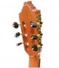 Alhambra Classical Guitar 9P CW E8 Equalizer Cedar Rosewood with Case