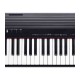 Roland Go Piano 88 buttons