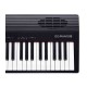 Top photo Roland Go Piano 88