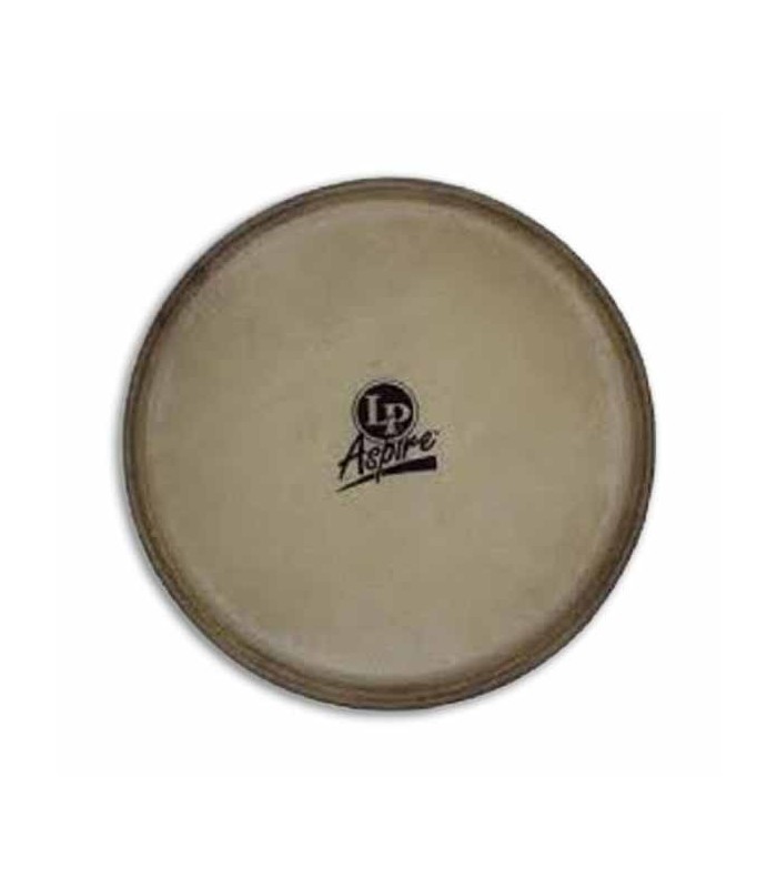 Photo of head LP640C