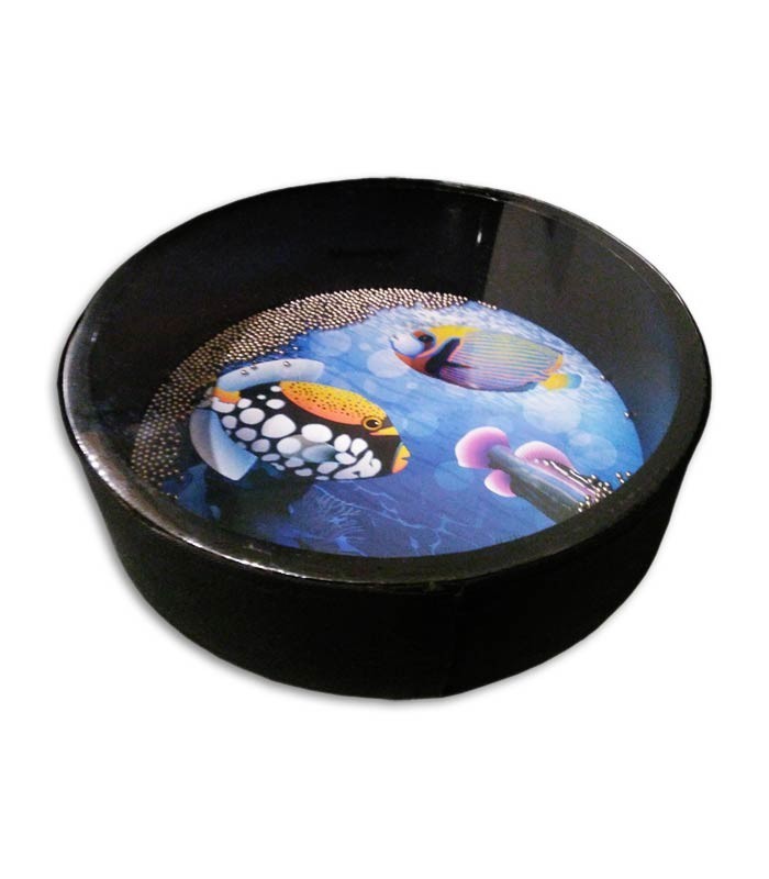 Photo 3/4 of Ocean Drum Honsuy 43670