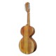 APC Viola Campaniça VTR CAM Round soundhole Simple