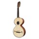 APC Viola Campaniça VTR CAM Round soundhole Simple