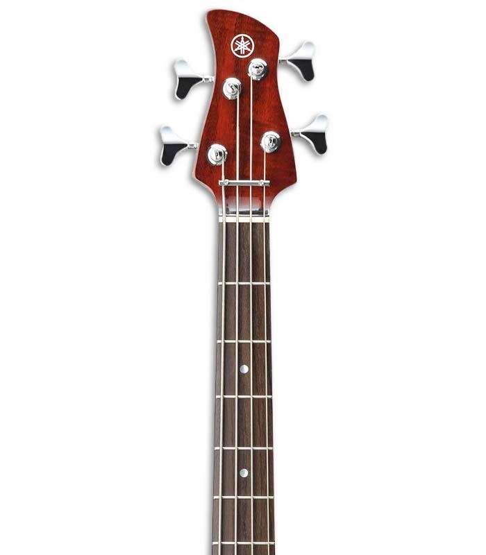 Neck and head of bass Yamaha TRBX174 EW RB 