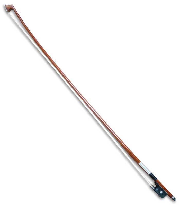 Photo of bow