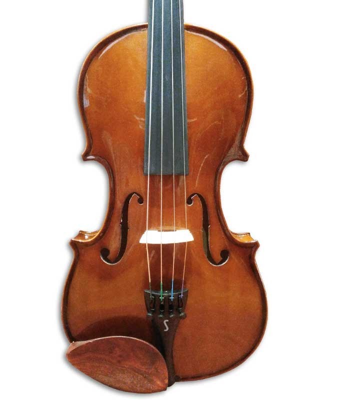 Body of viola Stentor Student I 14"