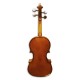 Back of viola Stentor Student I 14"