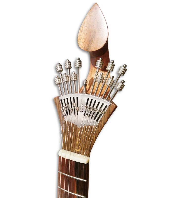 Head of portuguese guitar APC 305CB