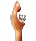 Back photo of the head of portuguese guitar APC 305CB 