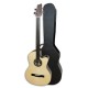Acoustic Bass Guitar Deluxe Artimúsica 33133 instrument and case