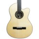 Acoustic Bass Guitar Deluxe Artimúsica 33133 body