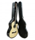 Acoustic Bass Guitar Deluxe Artimúsica 33133 instrument and case