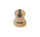 Acoustic Bass