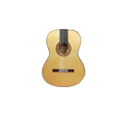 Flamenco Guitar