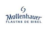 Mollenhauer